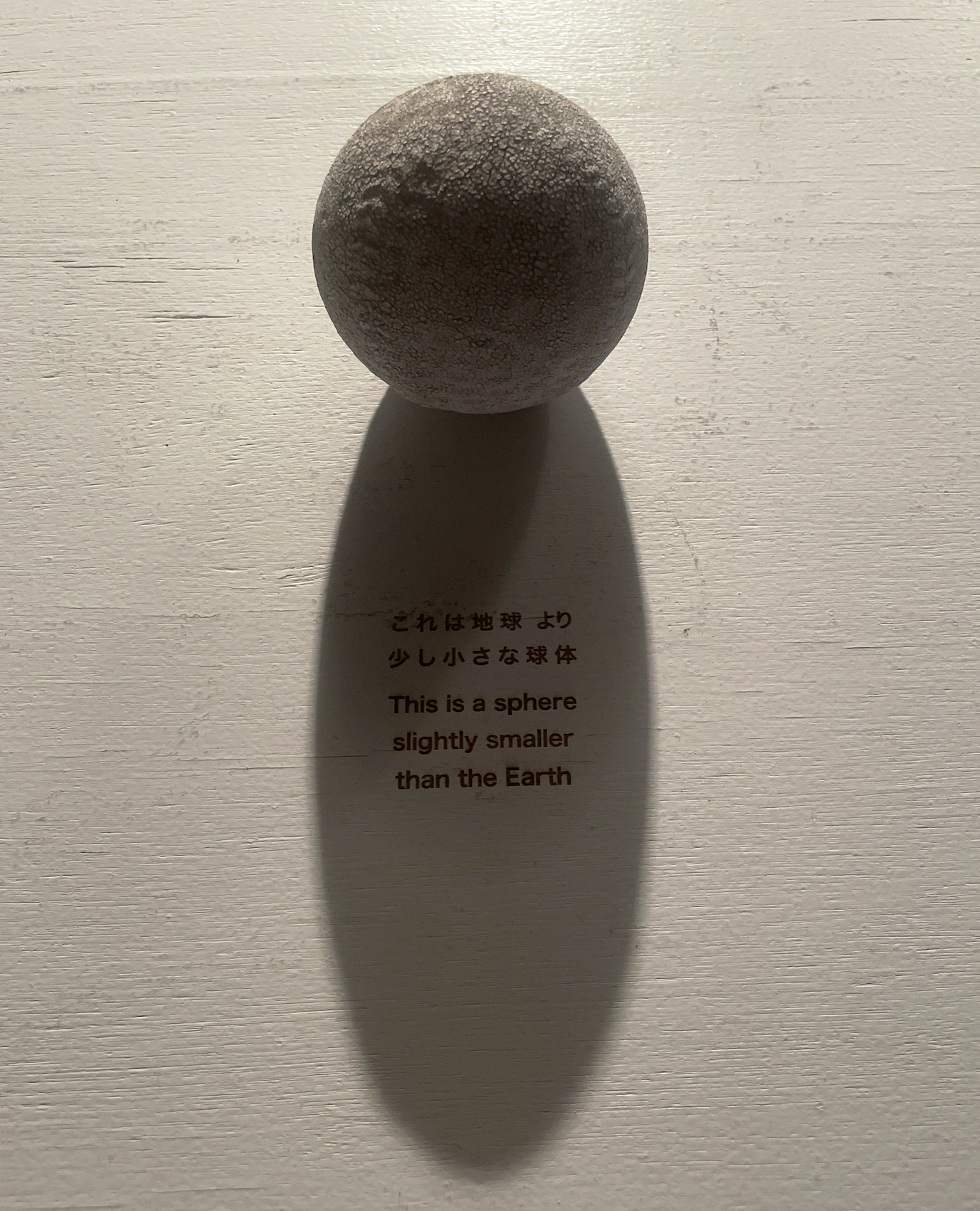 橋本聡