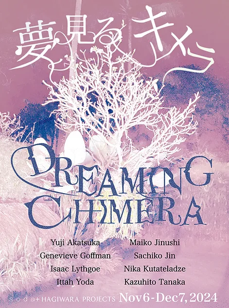 夢見るキメラ Dreaming Chimera