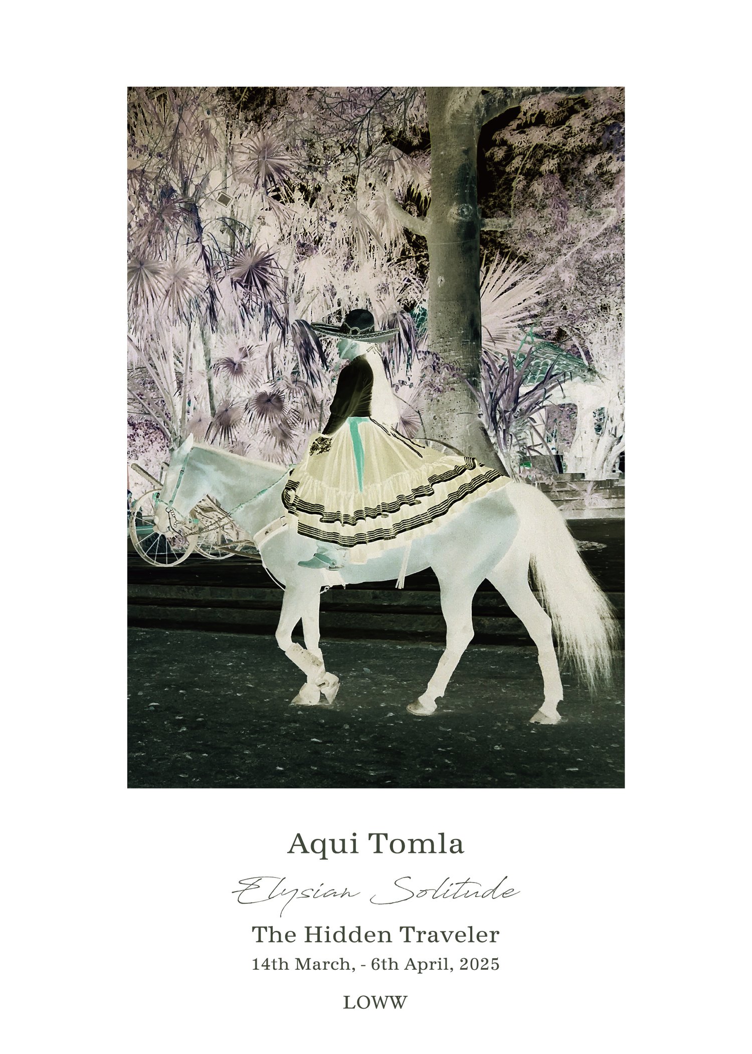トムラアキ (Aqui TOMLA)