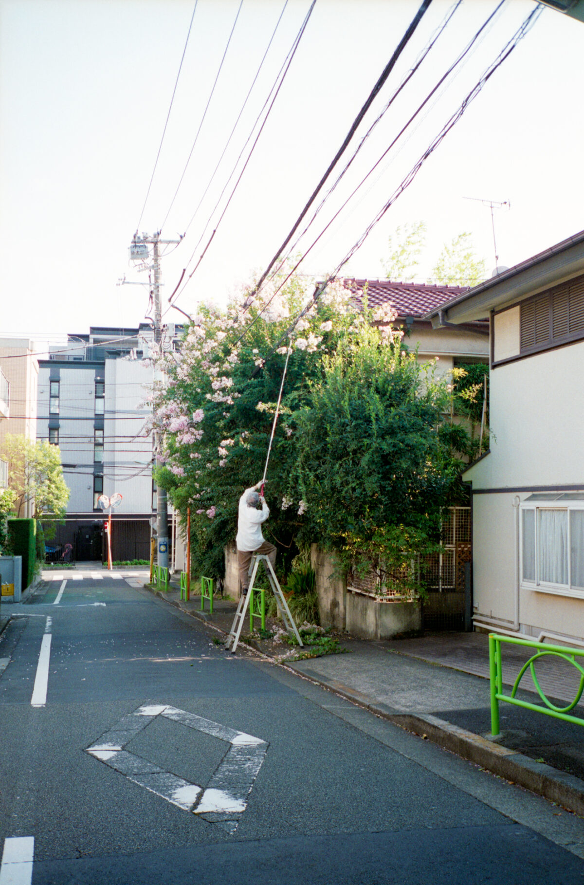 石渡朋