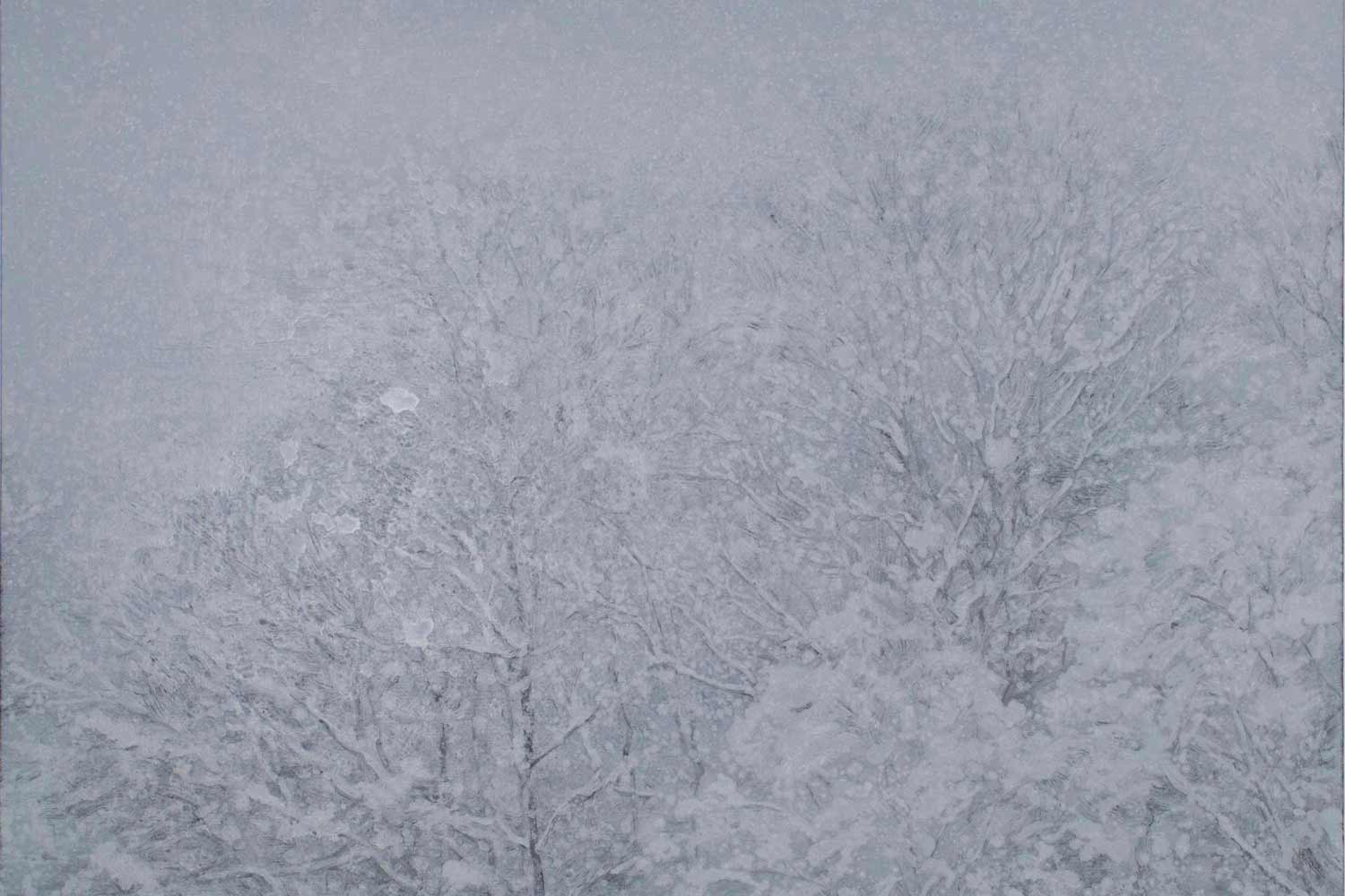 児玉靖枝