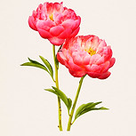 藤間謙二