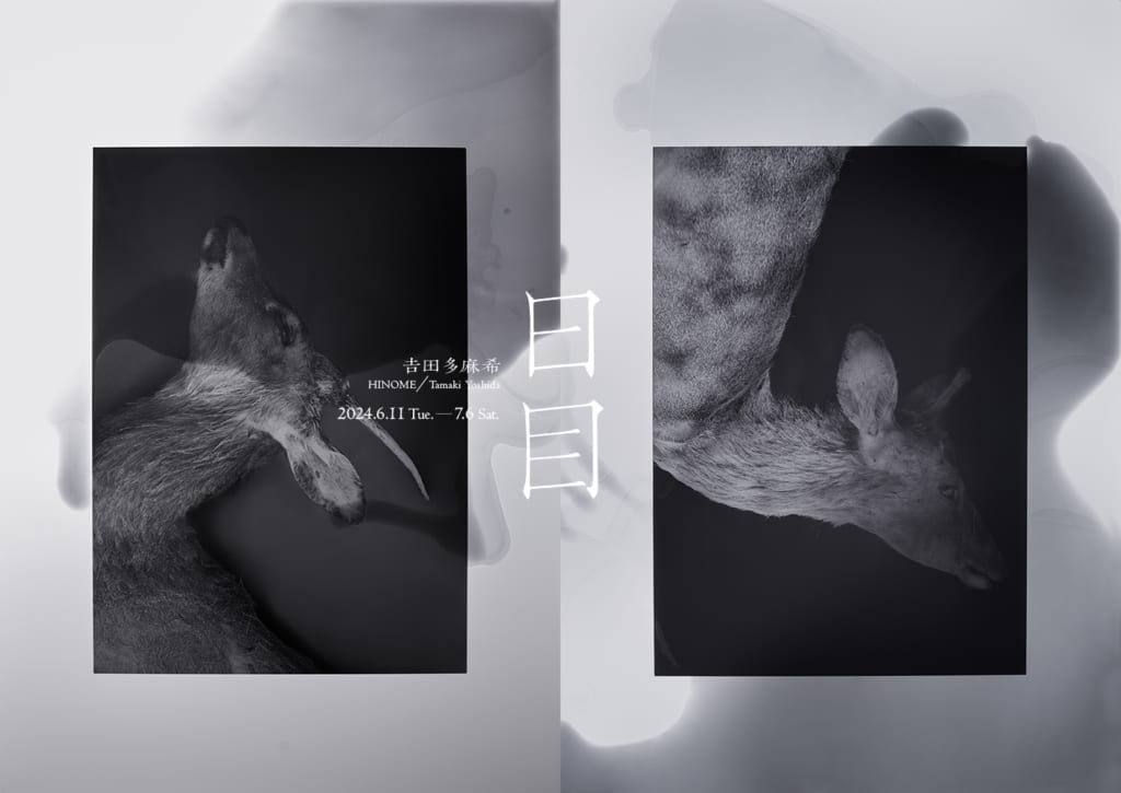 𠮷田多麻希