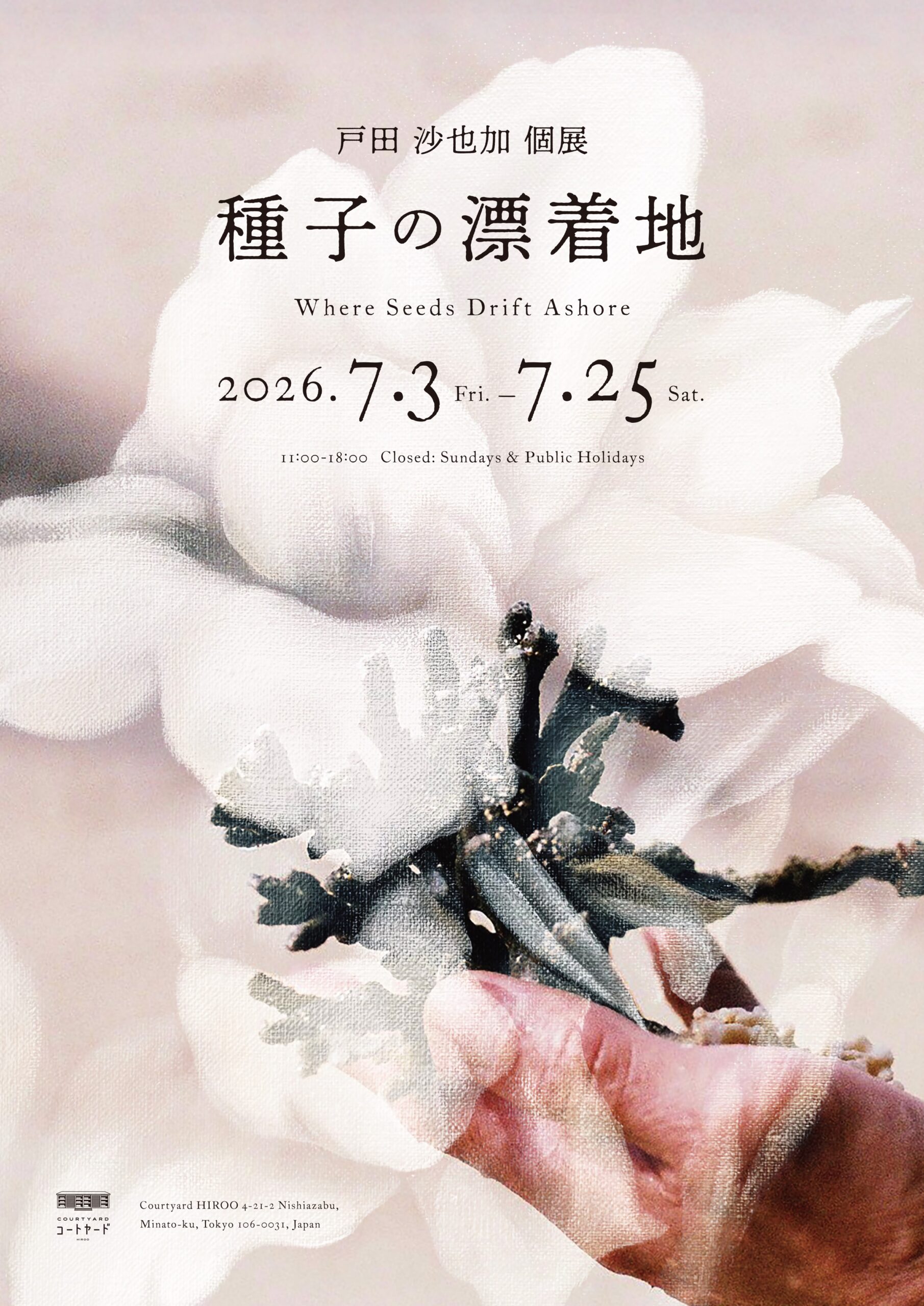 戸田 沙也加 /「種子の漂着地 」 “Where Seeds Drift Ashore”