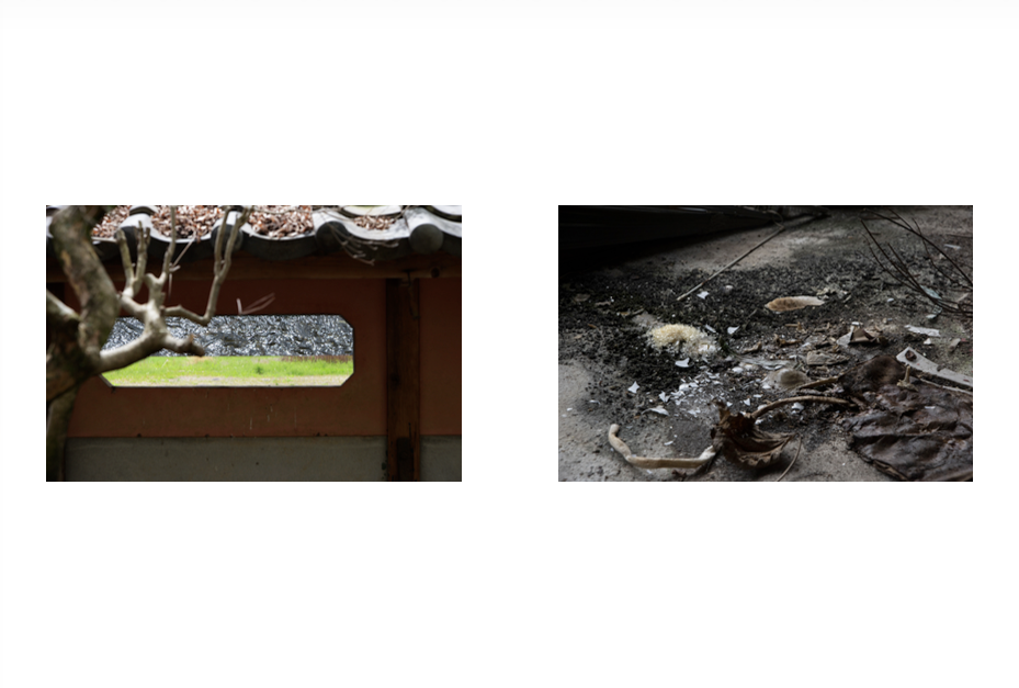 森山泰地 個展「よくわからないこと—Things Not Quite Understood」